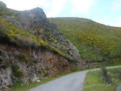 DSCN3798 DSCN3798