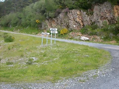 DSCN3776 DSCN3776