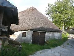 DSCN3832 DSCN3832