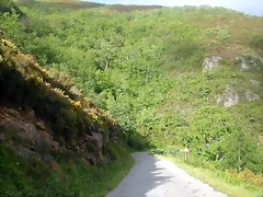 DSCN3860 DSCN3860