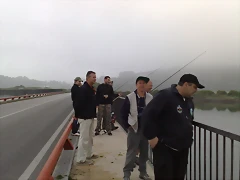 29062010557 29062010557