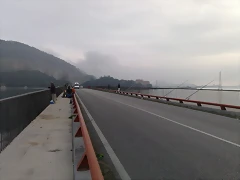 29062010559 29062010559