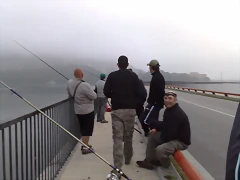 29062010555 29062010555
