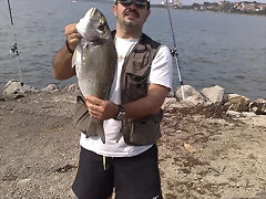 27062010553 27062010553