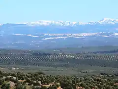 10, la sierra al fondo, marca