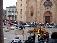 DSCN8199 DSCN8199