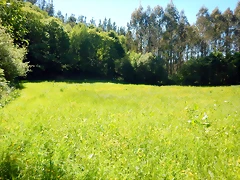 DSCN2327 DSCN2327