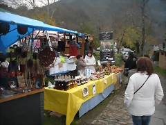 DSCN1085 DSCN1085