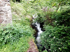 DSCN4538 DSCN4538