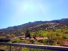 DSCN4666