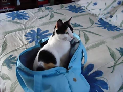 mi bb!