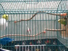 WP_20161201_001