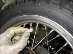 IMG_1218 IMG_1218