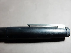 DSCN5501