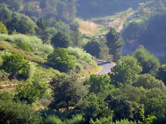 29-IMG_2369