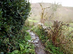 DSCN8967 DSCN8967