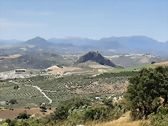 IMG-20200528-WA0023