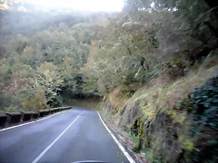 DSCN9990 DSCN9990