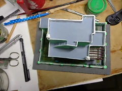 DSC01003 (Medium)