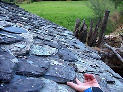 DSCN1810 DSCN1810