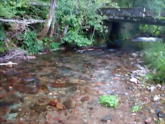 DSCN1816 DSCN1816
