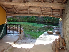 DSCN1737 DSCN1737