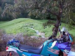 DSCN1841 DSCN1841