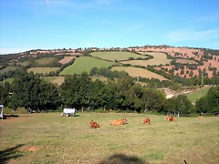 DSCN1760 DSCN1760