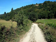 DSCN1699 DSCN1699