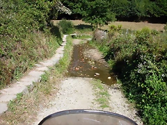 DSCN1700 DSCN1700