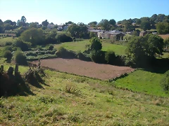 DSCN1721 DSCN1721