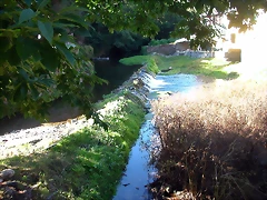 DSCN1743 DSCN1743