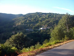 DSCN1795 DSCN1795