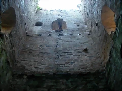 DSCN1831 DSCN1831