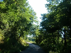 DSCN1710 DSCN1710
