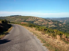 DSCN1771 DSCN1771