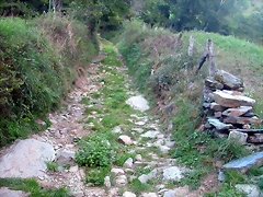DSCN1818 DSCN1818