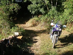 DSCN1784 DSCN1784