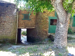DSCN1735 DSCN1735