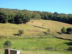 DSCN1719 DSCN1719