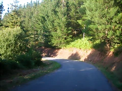 DSCN1793 DSCN1793
