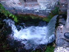 DSCN1807 DSCN1807