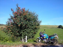DSCN1758 DSCN1758