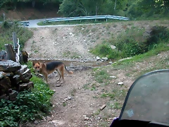 DSCN1789 DSCN1789