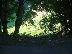 DSCN1790 DSCN1790