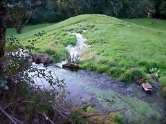 DSCN1840 DSCN1840