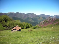 DSCN8516 DSCN8516