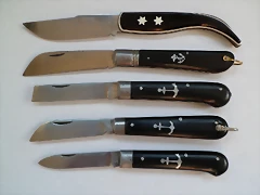 SAM_1546 SAM_1546