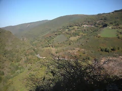 DSCN0017 DSCN0017