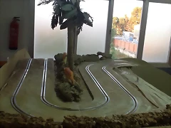 11391229_10206724457692778_5583338011064289357_n 11391229_10206724457692778_5583338011064289357_n